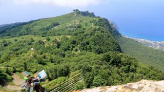 Blick auf den inaktiven Vulkan Monte Epomeo, grüne Landschaft, liebesschlösser im Vordergrund