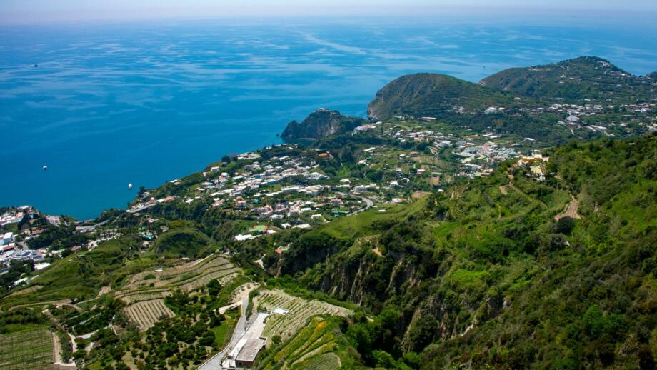 Luftaufnahme auf die Küste Ischia