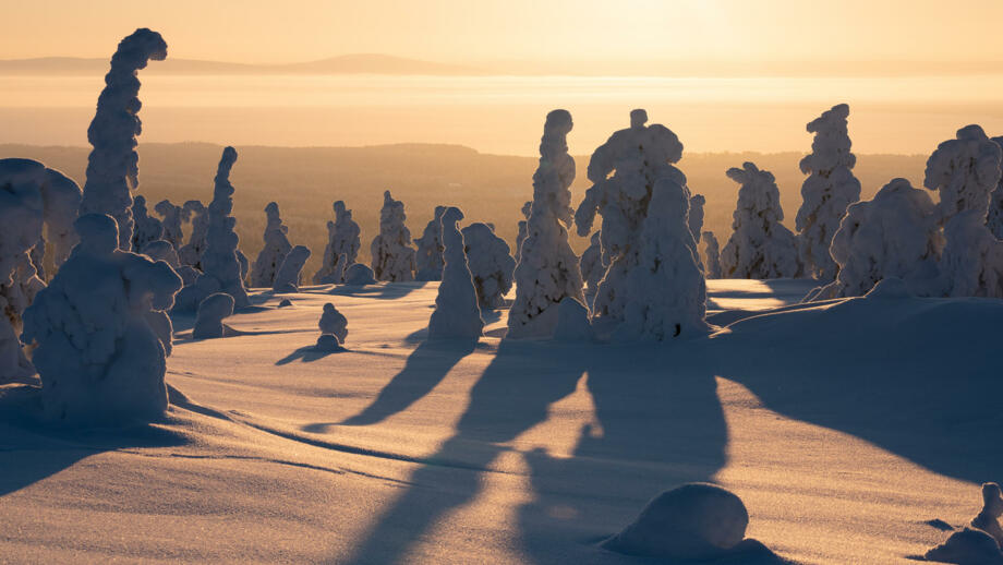 finnland-fiwin-beautiful-winter-landscape-against-golden-sunrise-in-riisitunturi-national-park-posio-shutterstock_1576254460.jpg