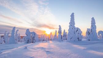 finnland-fiwin-riisitunturi-nationalpark-bei-sonnenuntergang-im-winter-shutterstock_2222060965.jpg