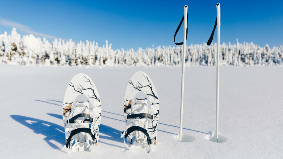 finnland-fiwin-white-snowshoes-with-trekking-poles-in-the-snow-on-the-winter-forest-and-snowy-background-snowshoeing-in-lapland-shutterstock_1229039671.jpg