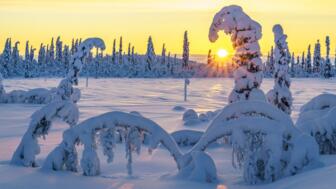 schweden-scwin-winterlandschaft-bei-sonnenuntergang-mit-direktem-licht-mit-buntem-himmel-und-wolken-viel-schnee-auf-den-baeumen-schwedisches-lapland-shutterstock_2037688889.jpg
