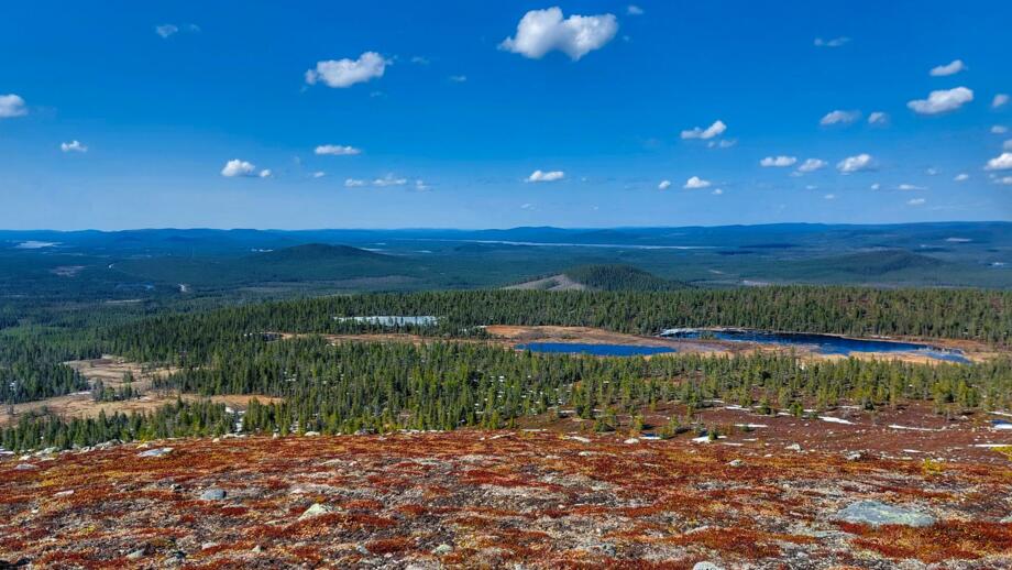 schweden-scrail-blick-vom-berg-vittjakk-shutterstock_2319499781.jpg