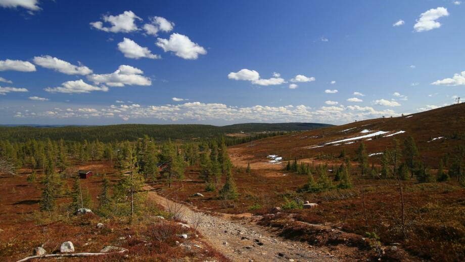 schweden-scrail-felsweg-durch-hochland-im-naturschutzgebiet-nahe-arvidsjaur-shutterstock_2319499753.jpg