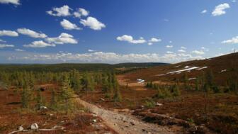 schweden-scrail-felsweg-durch-hochland-im-naturschutzgebiet-nahe-arvidsjaur-shutterstock_2319499753.jpg