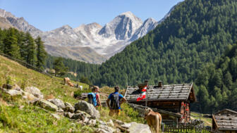 italien-suedtirol-schnalstal-berghotel-tyrol-pfossental-petersanter-september2023 (64).jpg