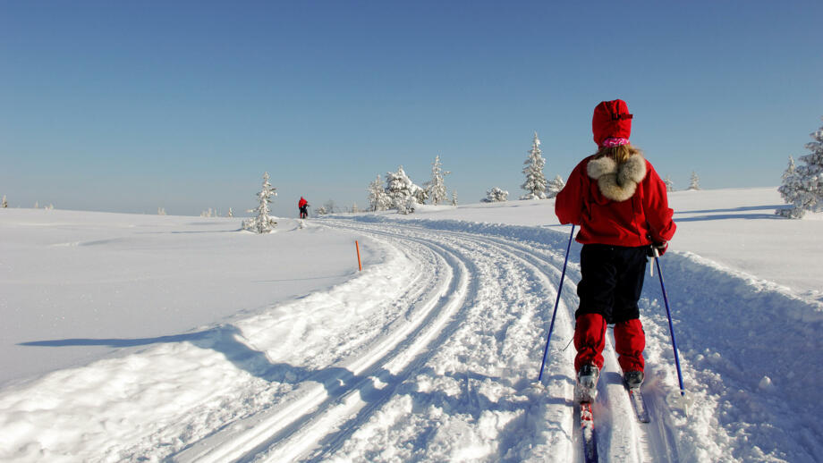 Langläufer im gespurten Schnee in Norwegen