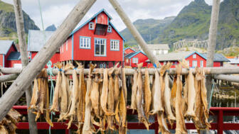 norwegen-nolos-dry-stockfisch-kabeljau-in-authentischem-traditionellen-fischerdorf-mit-traditionellen-roten-rothalden-shutterstock_1815106169.jpg