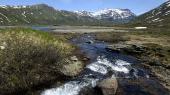 norwegen-jotunheim-nojot-eidsbugarden-in-jotunheimen-shutterstock_173479970.jpg
