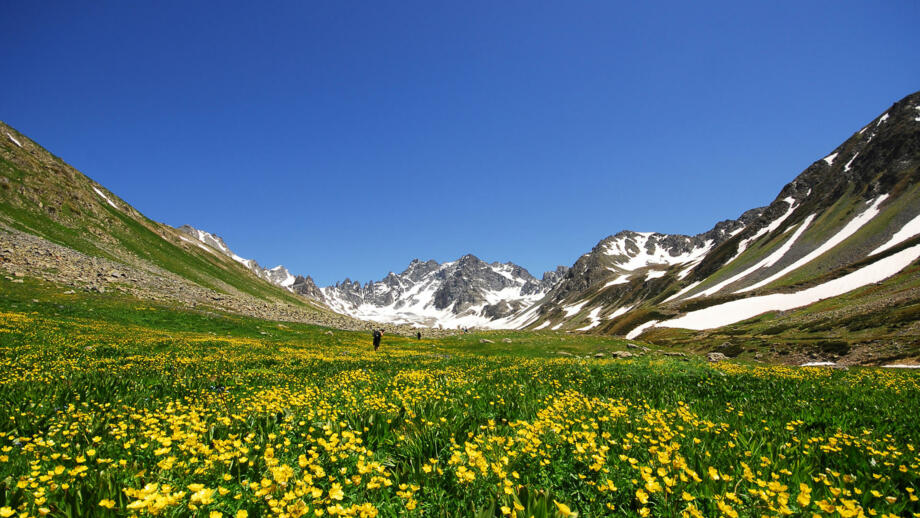 tuerkei-anatolien-tusch-kackar-berg-nationalpark-olgunlar-artvin-shutterstock_1909484452.jpg