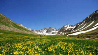 tuerkei-anatolien-tusch-kackar-berg-nationalpark-olgunlar-artvin-shutterstock_1909484452.jpg