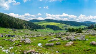 tuerkei-anatolien-tusch-shutterstock_2474790319.jpg