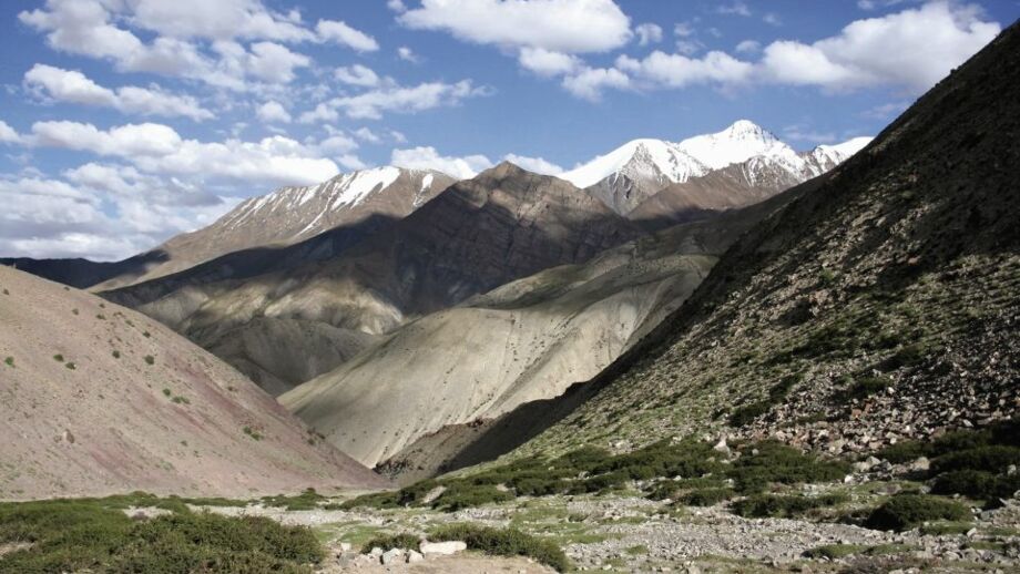 Arides Hochtal in Ladakh mit schneebedeckten Bergen im Hintergrund