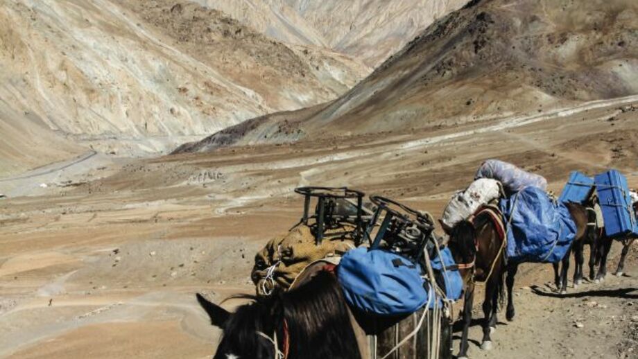 Maultierkarawane mit Packtaschen in Ladakh