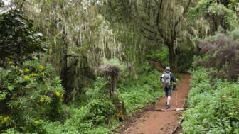 Afrika_Tansania_Kili88.jpg