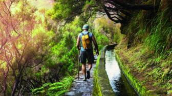 Wanderer auf einem levadaweg mt grüner Vegetation