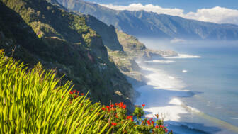 Madeiras Steilküste mit Blumen und Meer