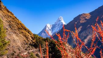 nepal-hiahg-blick-auf-den-ama-dablam-gefangen-auf-der-route-von-tangboche-aus-namche-shutterstock_2464375067.jpg
