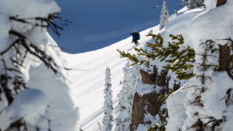 freeride-powder-abfahrt-tiefschnee-shutterstock_231755056.jpg