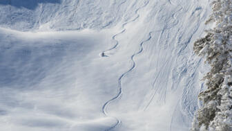 freeride-powder-abfahrt-tiefschnee-shutterstock_143562904.jpg