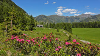hirschgrubenalm.jpg