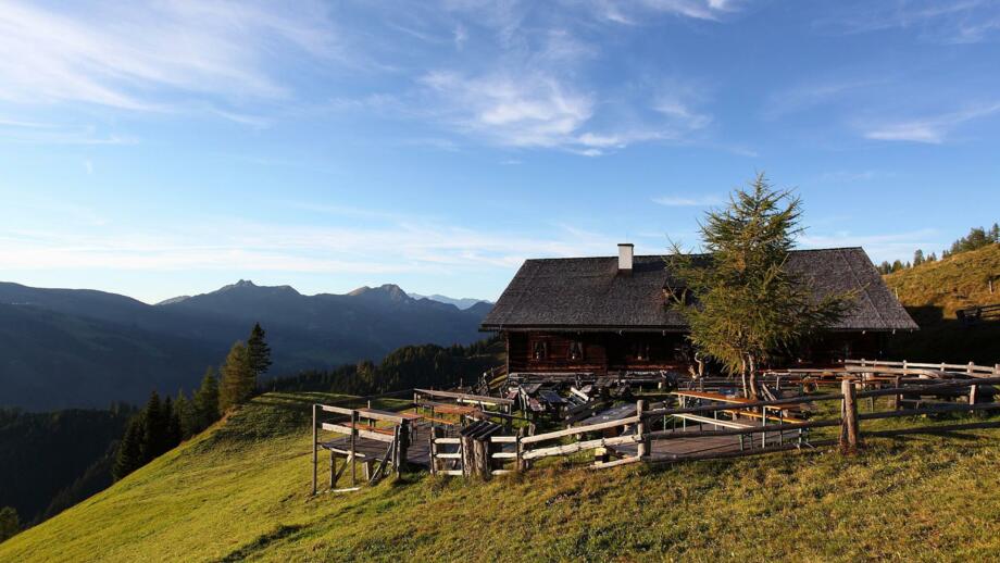 bichlalm-sommer-grossarltal-(1).jpg