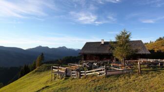 bichlalm-sommer-grossarltal-(1).jpg
