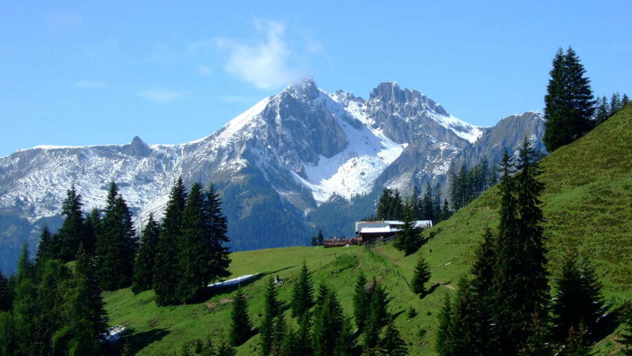 DSCF4045.jpg