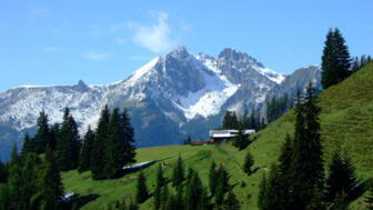 DSCF4045.jpg