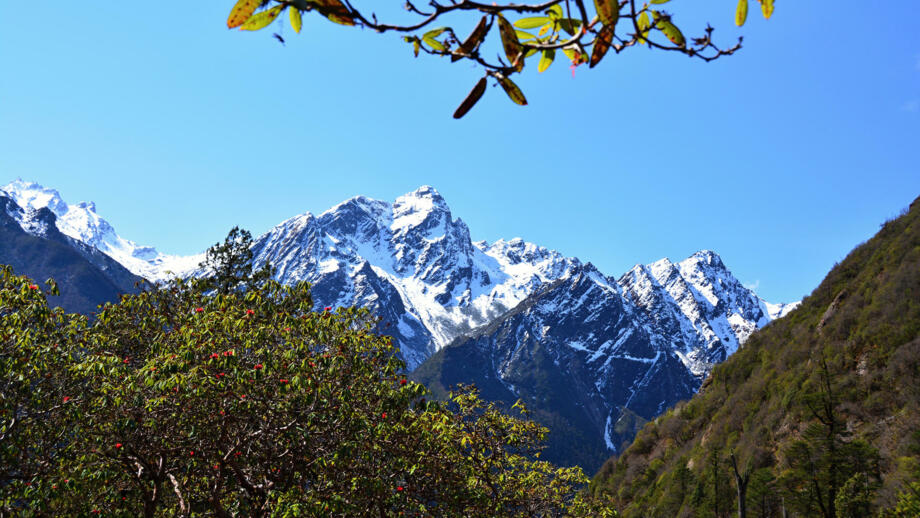 nepal-hiaho-ghunsa-village-kanchenjunga-trek-shutterstock_1408500524.jpg