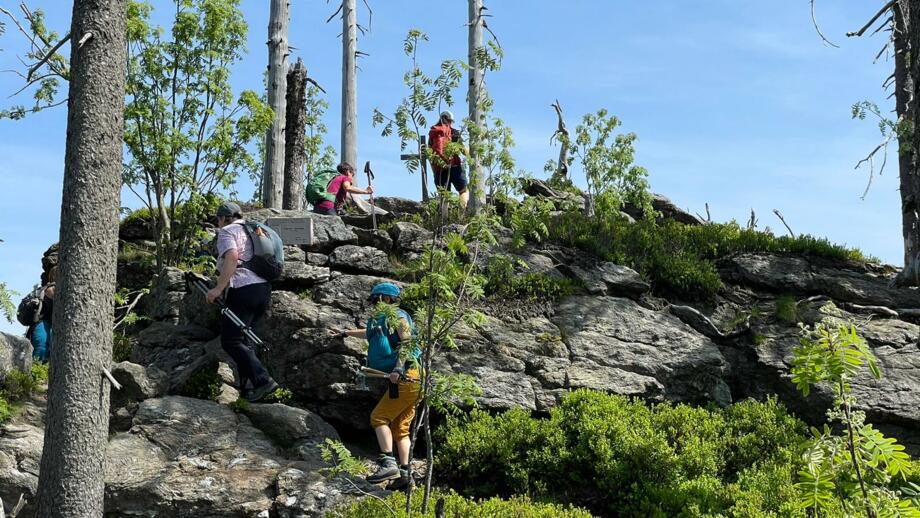 deutschland_bayerischer_wald-hhbaw-wandern-und-yoga_9.jpeg