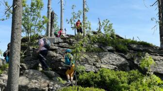 deutschland_bayerischer_wald-hhbaw-wandern-und-yoga_9.jpeg