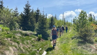 deutschland_bayerischer_wald-hhbaw-wandern-und-yoga_8.jpeg