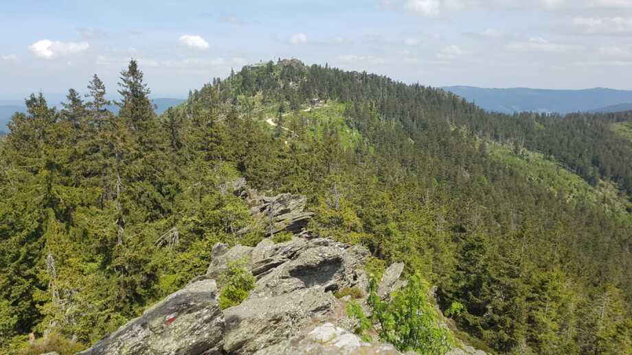 deutschland_bayerischer_wald-hhbaw-wandern-und-yoga_2.jpeg