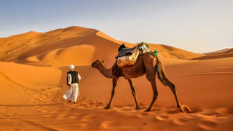 marokko-mayval-camel-erg-chebbi-sahara-desert-shutterstock_1033100842.jpg