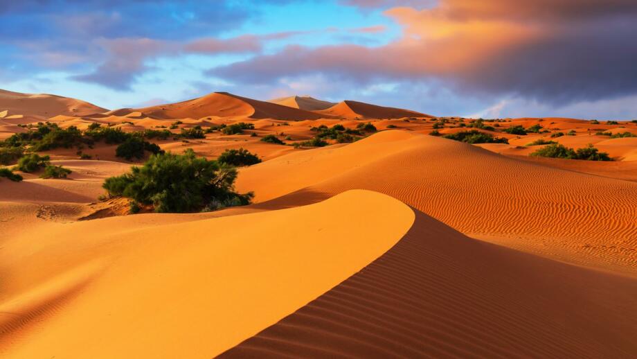 marokko-mayval-sahara-landschaft-erg-chebbi-merzouga-shutterstock_2451800421.jpg