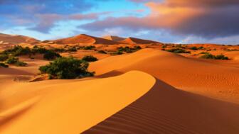 marokko-mayval-sahara-landschaft-erg-chebbi-merzouga-shutterstock_2451800421.jpg
