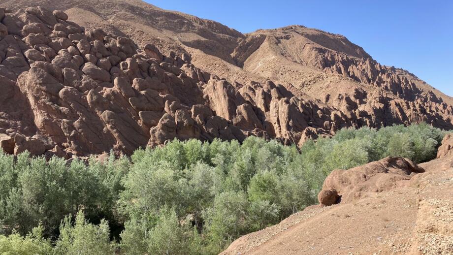 marokko-dades tal-IMG_5337.jpg
