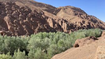 marokko-dades tal-IMG_5337.jpg
