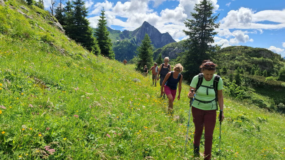 oesterreich-kaernten-lesachtal-sehhmau-20240702-104750-2.jpg
