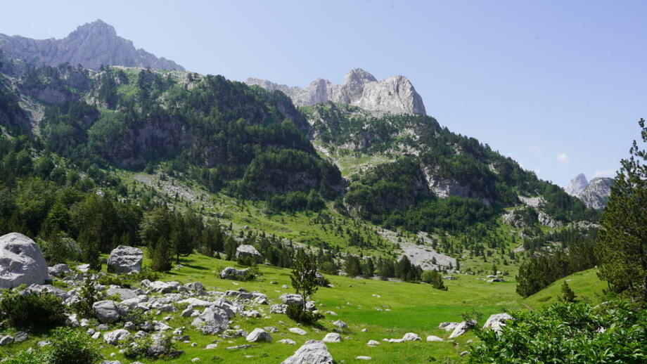 Albanien_Kosovo_Montenegro_Trekking_BAPBT_Runica_Weiden.jpg
