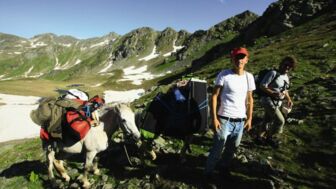 IMG_9950.jpg