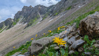 liechtenstein-sevensummits-hrliech-plaeging (11).jpg