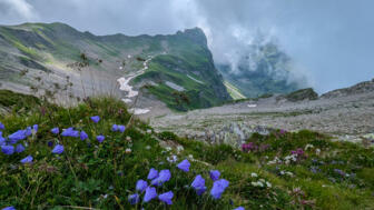 PXL_20240804_075807653.jpg