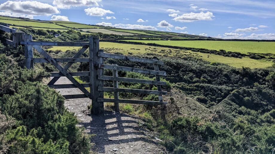 UKRAIL_2022_Karen_G_Zaun_Landschaft.jpg