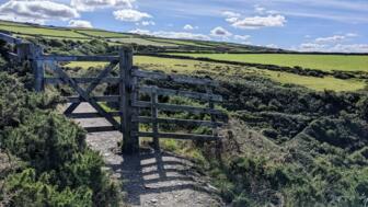 UKRAIL_2022_Karen_G_Zaun_Landschaft.jpg