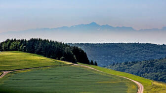 shutterstock_1007332102_DESCHL.jpg
