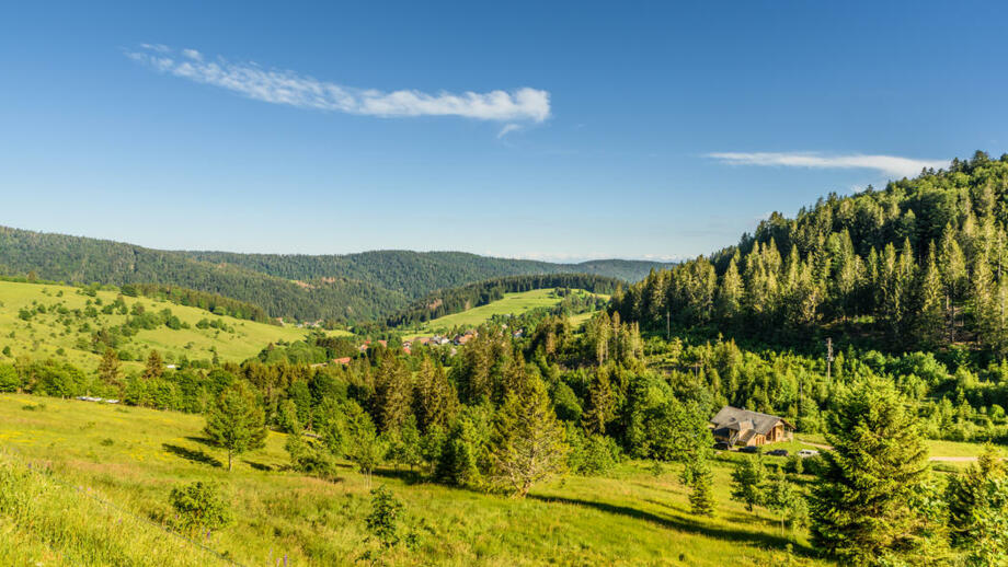 shutterstock_1812939895_DESCHL.jpg