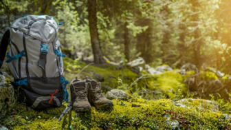 shutterstock_1119871160_DESCHL.jpg