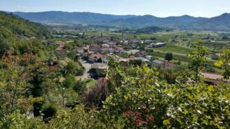 italien-oesterreich-slowenien-mtb-transalp-vipava-(3).jpg